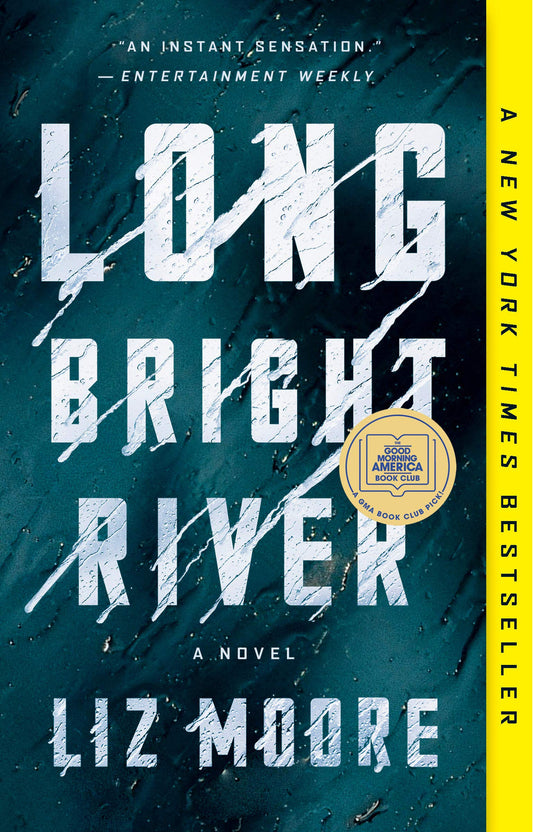 Long Bright River Liz Moore