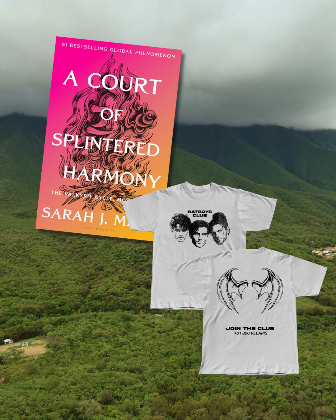 A Court of Splintered Harmony