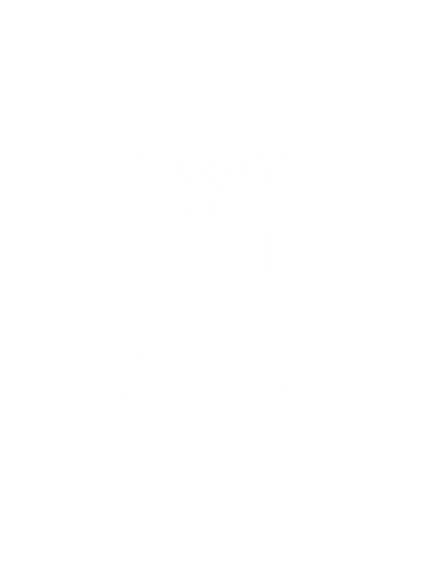 Lucid Reader